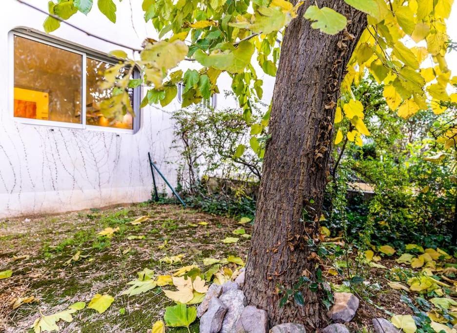 * Le St-eloi *1 Chambre, Parking, Wifi, Jardin* Apartment