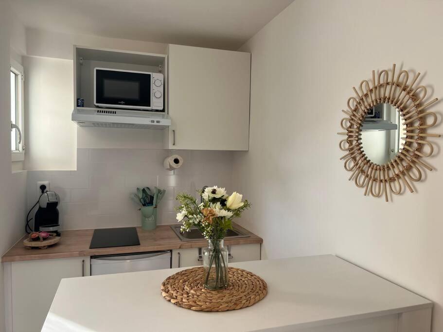*la Pampa, Studio, Parking, Clim, Hopitaux/fac* * Montpellier