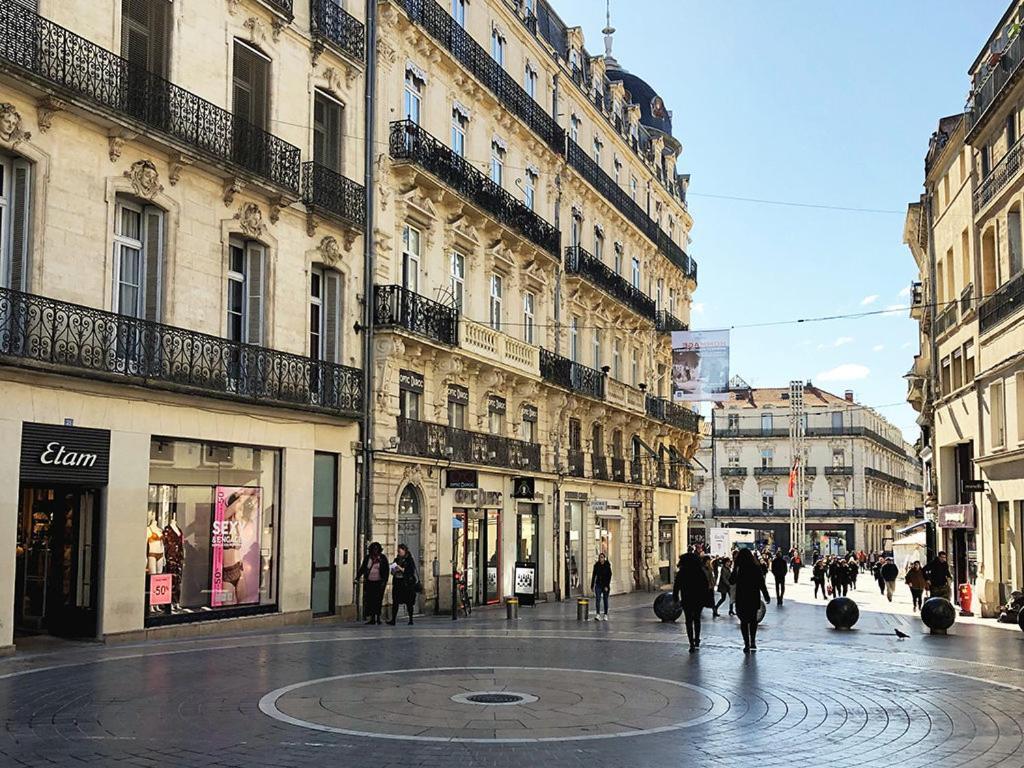 Apartment Le Cocon Montpellierain By Smartappart Montpellierain - Jardin Proche Corum Montpellier