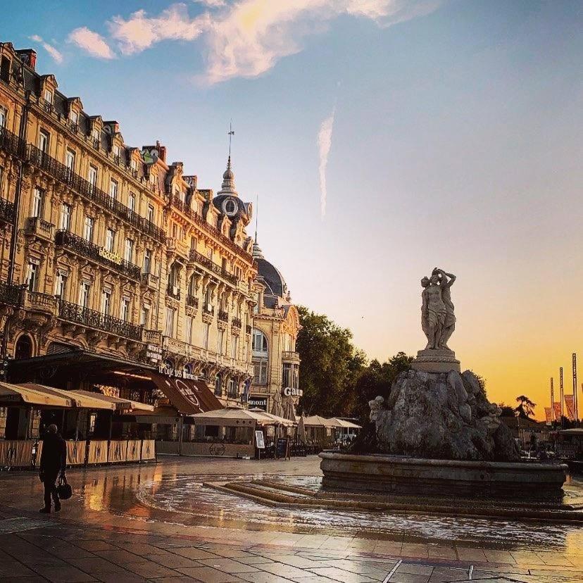 Le Cocon Montpellierain By Smartappart Montpellierain - Jardin Proche Corum Apartment Montpellier