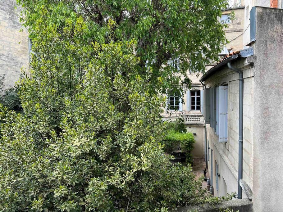 Appartement La Petite Maison Aux Volets Bleu - *
