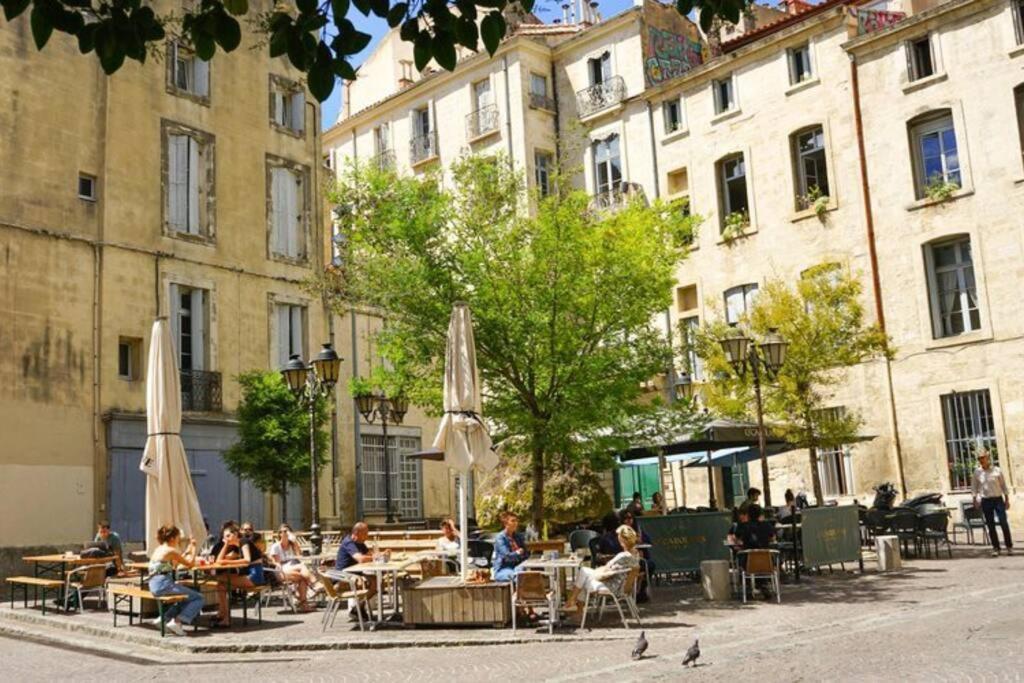 *appart 2 Chambres, Hypercentre, Emplacement N°1* * Montpellier
