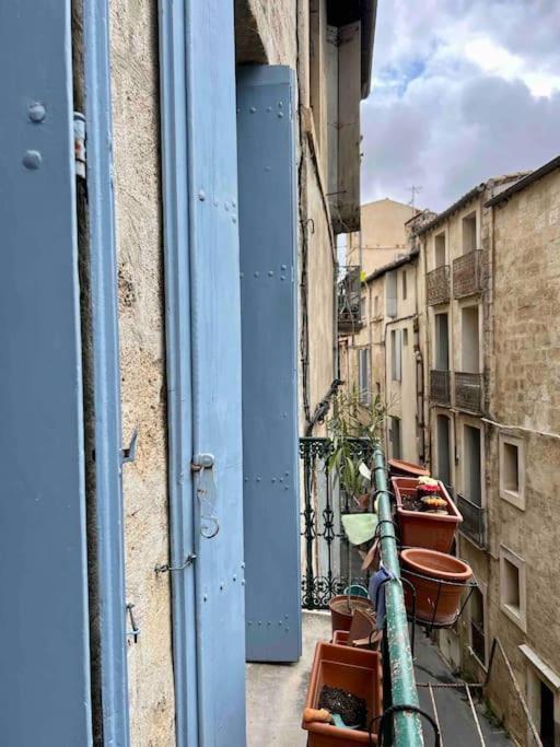 Appartement La Petite Maison Aux Volets Bleu -