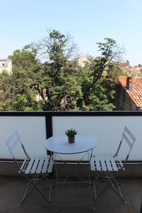 T2 Cosy Proche Parc Peyrou Et Jardin Des Plantes Apartamento