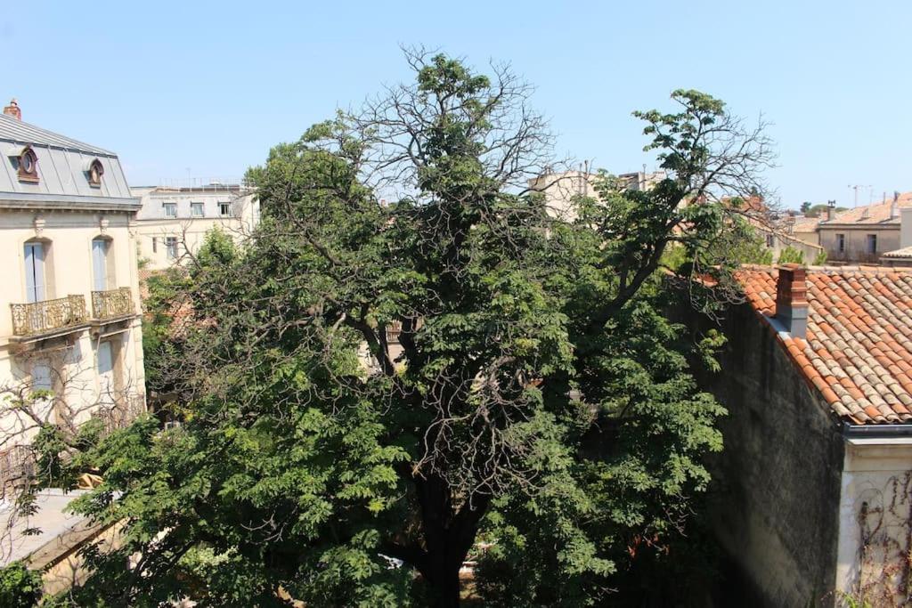 Apartamento T2 Cosy Proche Parc Peyrou Et Jardin Des Plantes