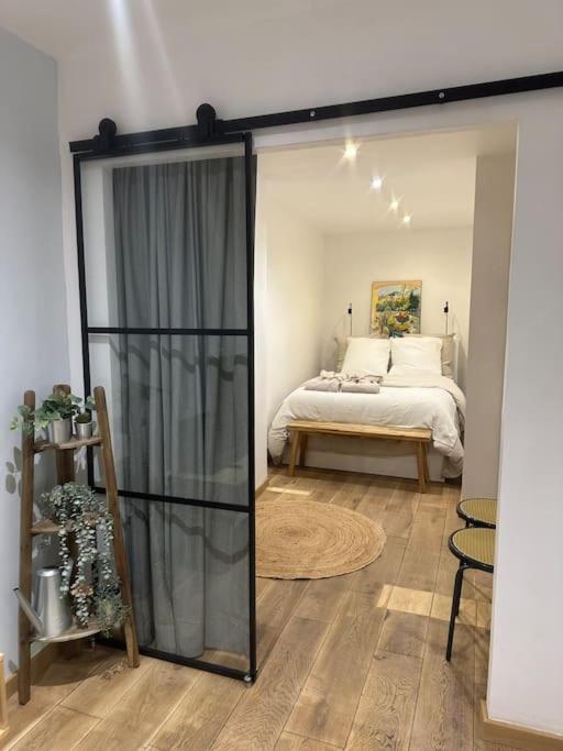 T3 Style Loft, Au Calme, Plein Centre Et Climatise Appartement