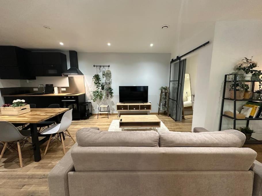 T3 Style Loft, Au Calme, Plein Centre Et Climatise Appartement