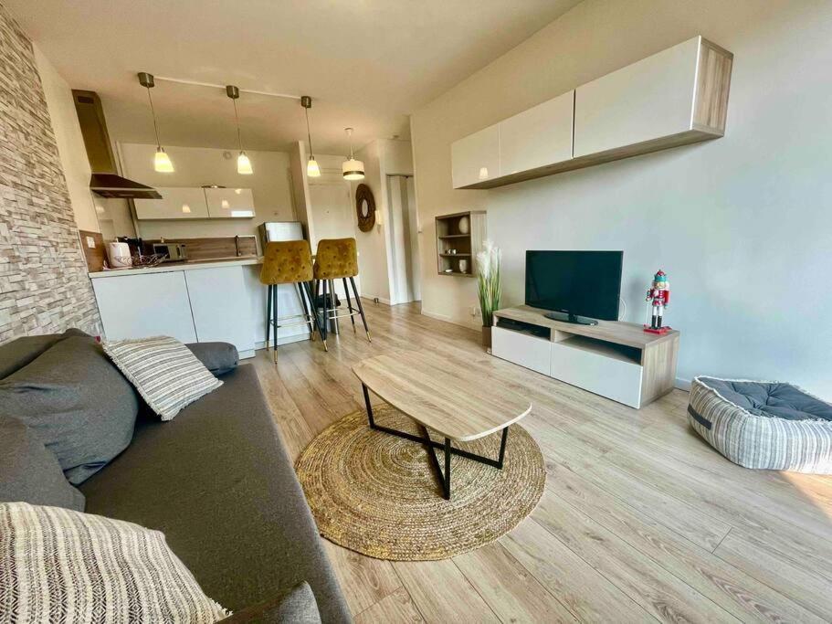 Appartement Jolie T2 40m2 Hopitaux Avec Terrasse Et Parking Montpellier