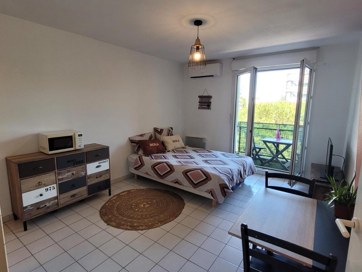Charmant Studio Vue Sur Les Berges Du Lez Apartment *