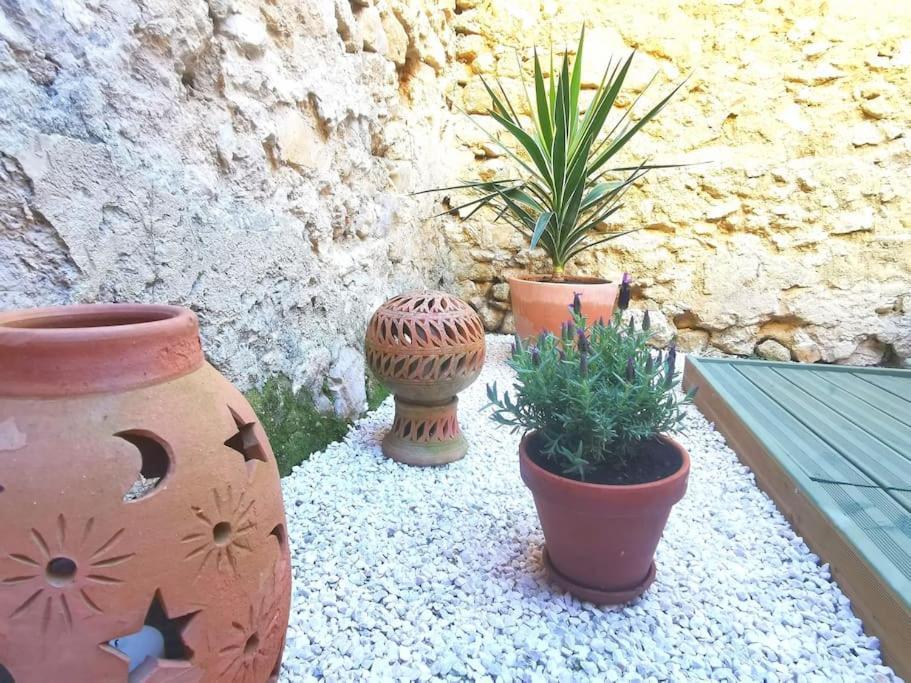 T1 Bis Avec Terrasse Privee A 2 Pas De L'ecusson Apartment *