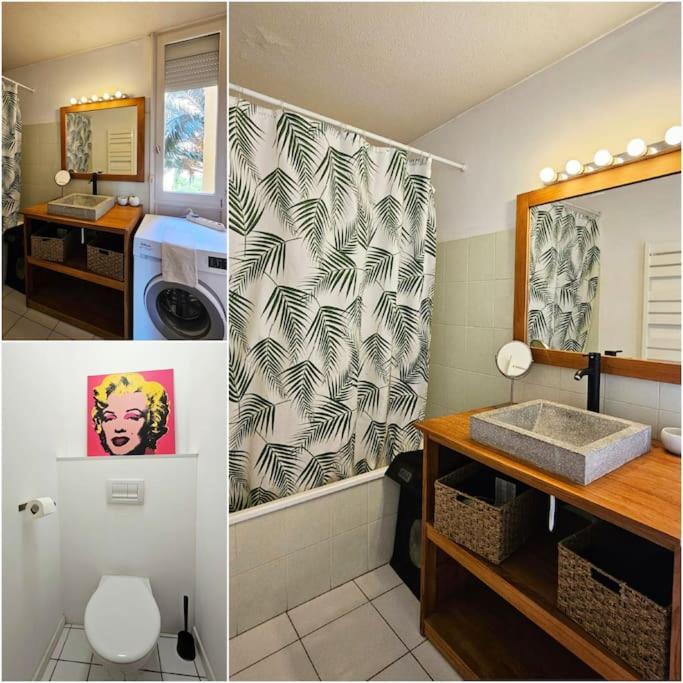Apartment Ovalie ! Grand Appart. 6 Couchages Avec Parking Montpellier