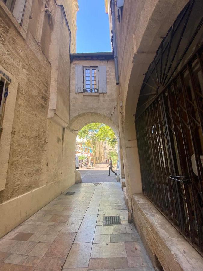 Hirondelle De * Montpellier