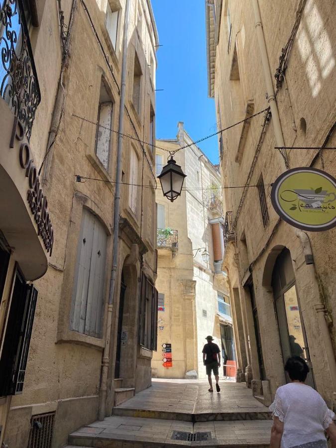 Hirondelle De Montpellier