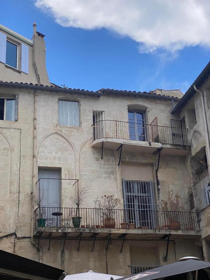 Hirondelle De Apartamento *