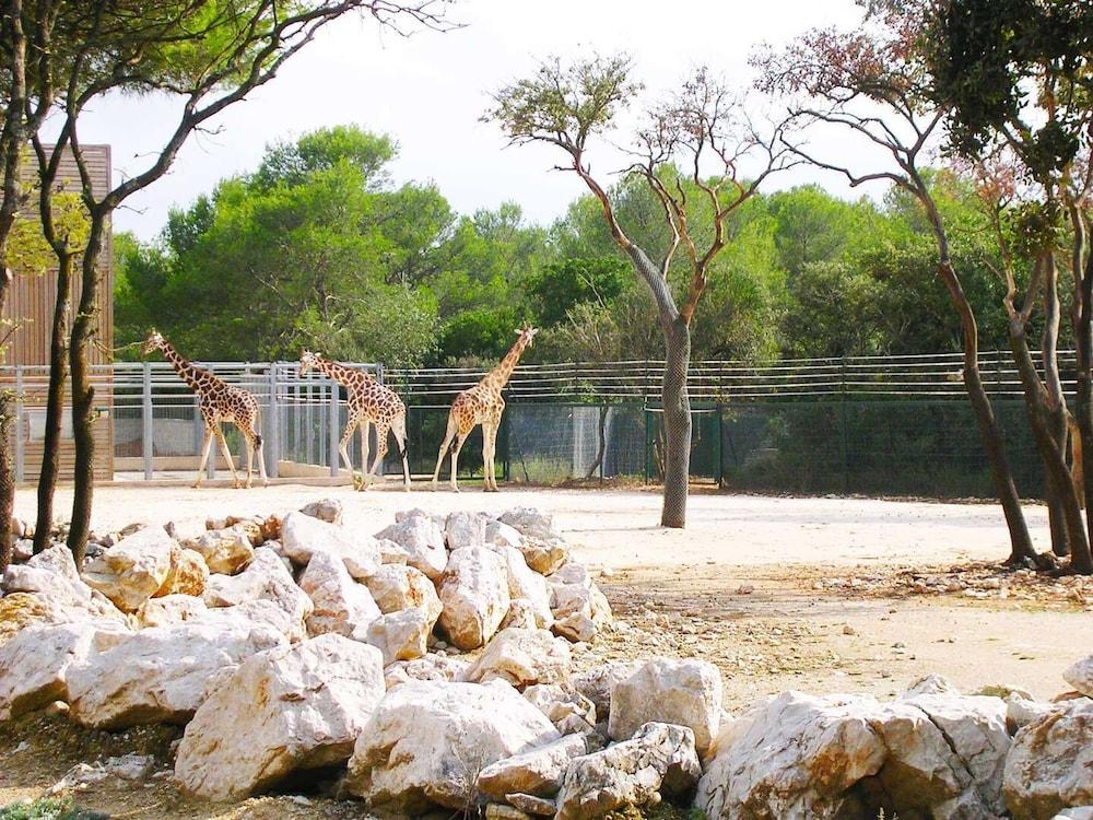 Western Le Guilhem 3*