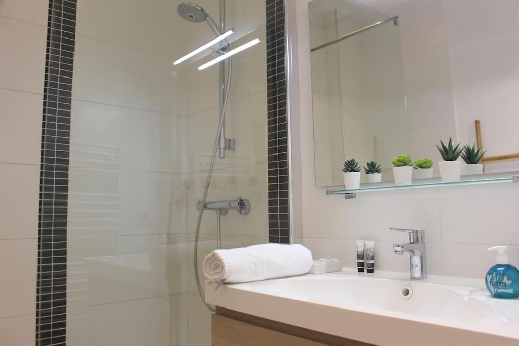 Superbe T2 Spacieux Centre-ville Avec Exterieur Apartment *