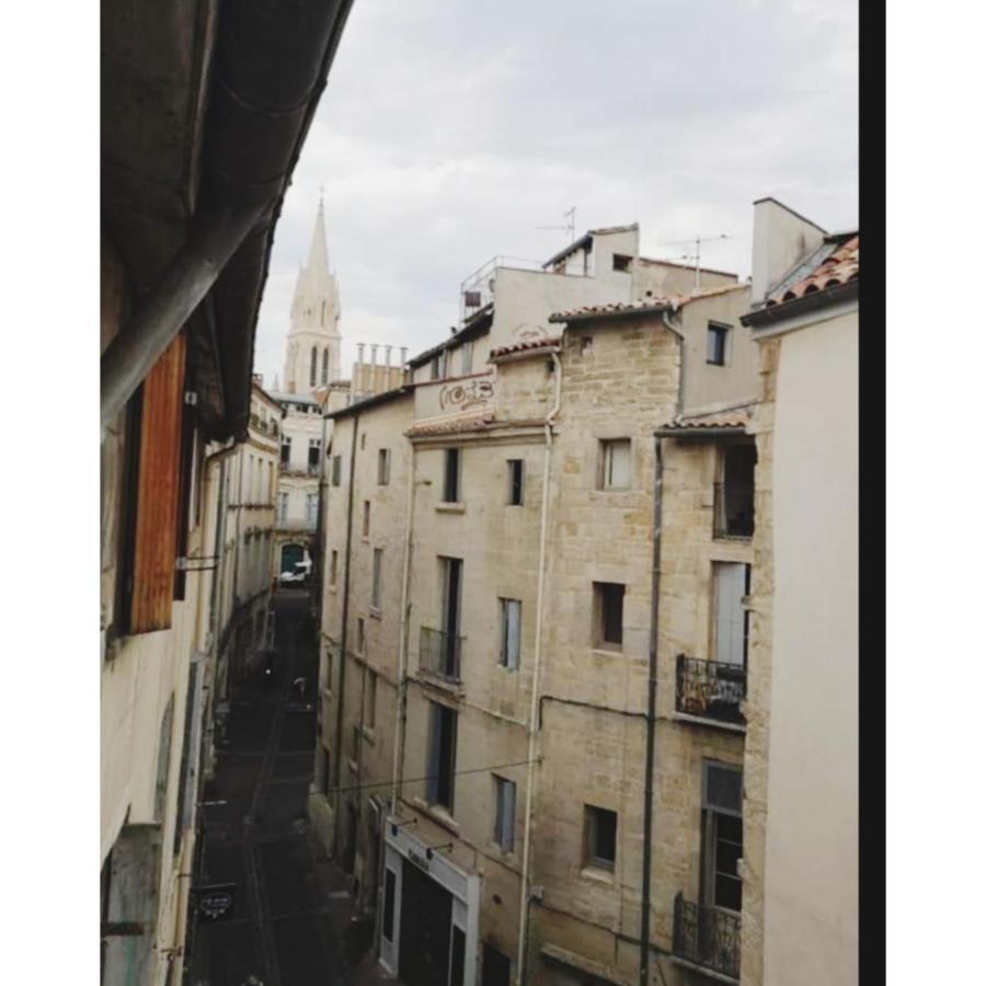 Cosy Au Coeur De