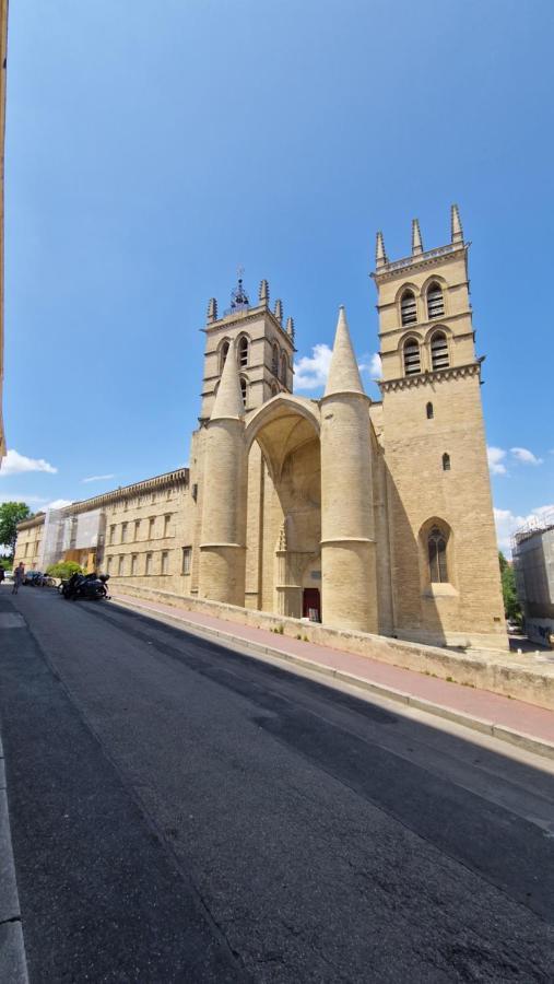 Le Petit Olivier En Coeur De + Parking Incl. Apartment Montpellier