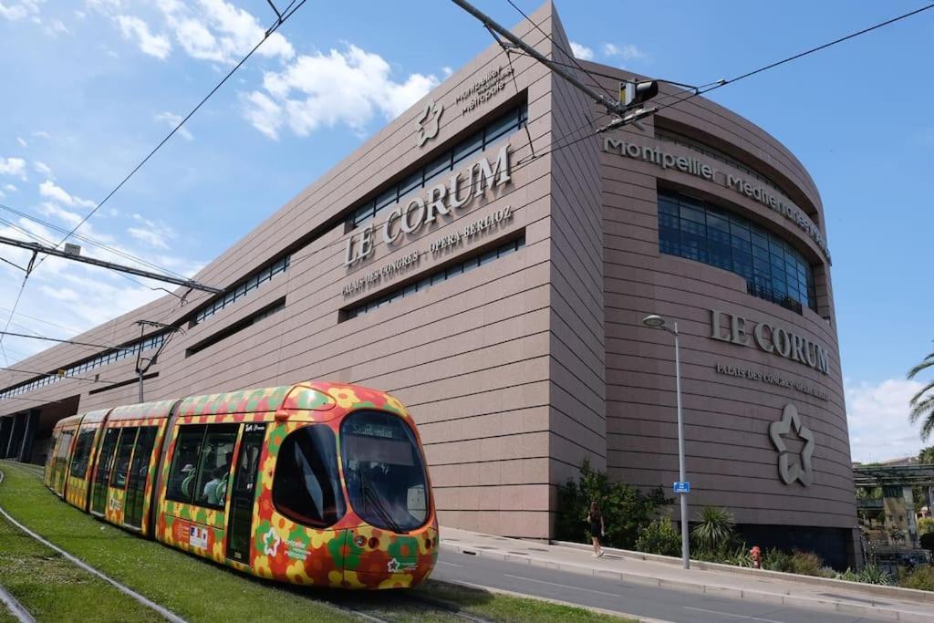 Confort Climatise Et Privee En Sousplex Apartment Montpellier