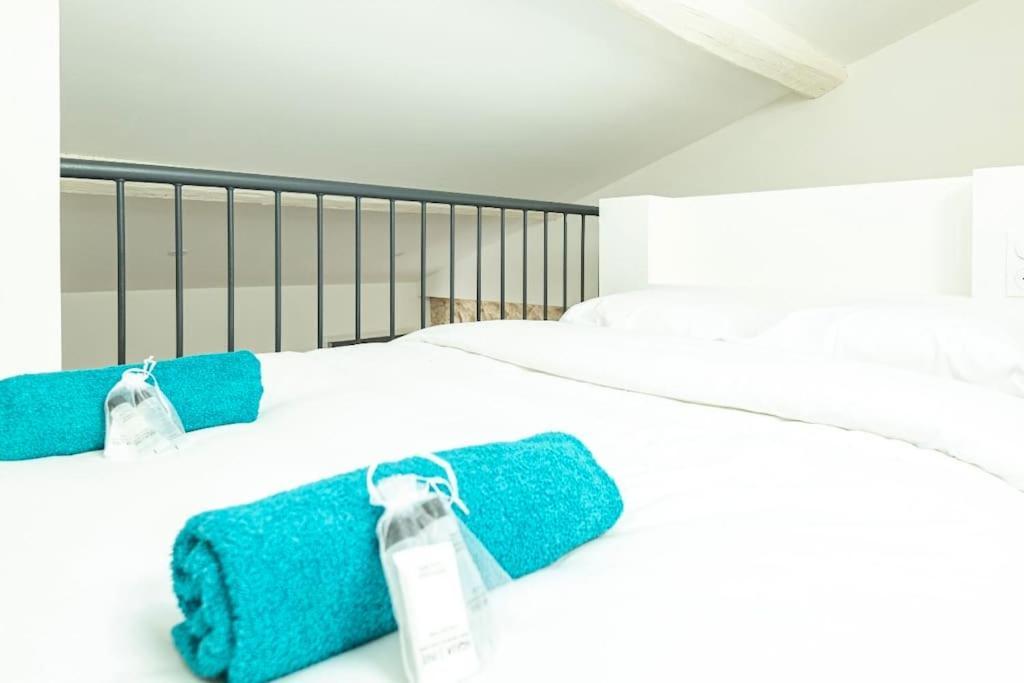 Appartement Bel Plein Sud Pres Du Centre