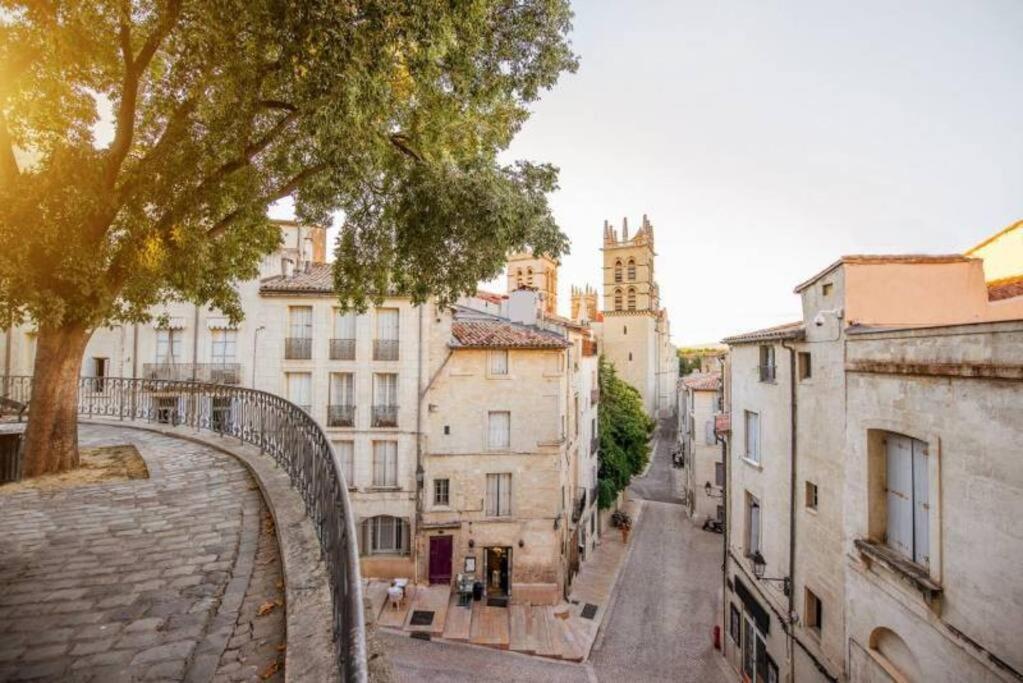 Appartement Beaux Arts Avec Clim Et Terrasse Montpellier