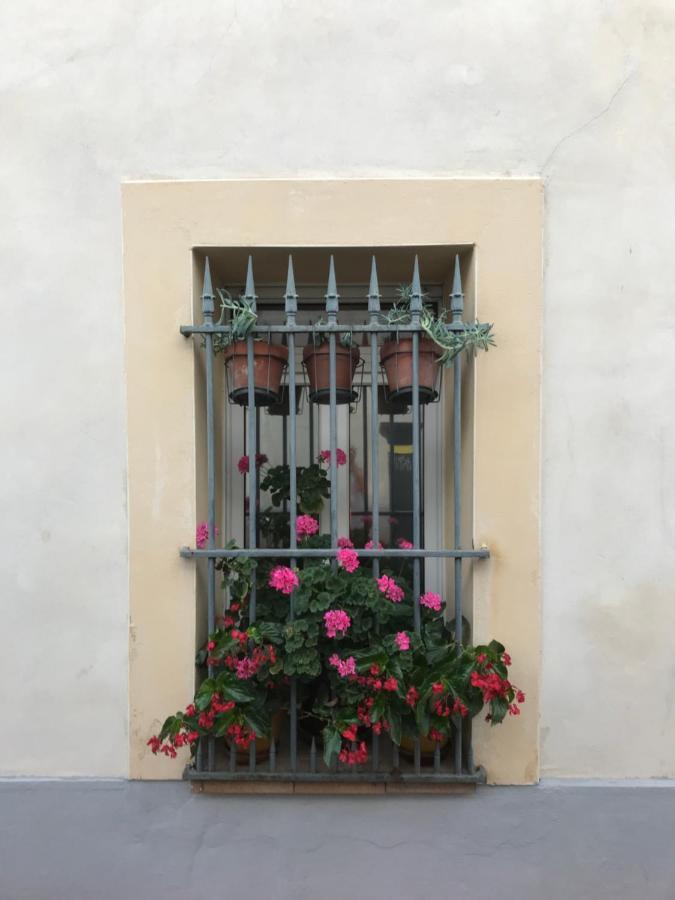Bed & Breakfast Haute Montpellier