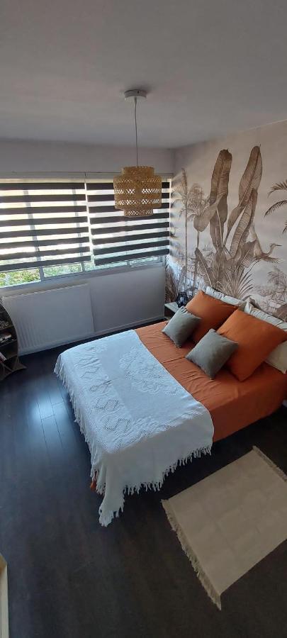 Appartement F3 Avec Jardin Et Piscine
