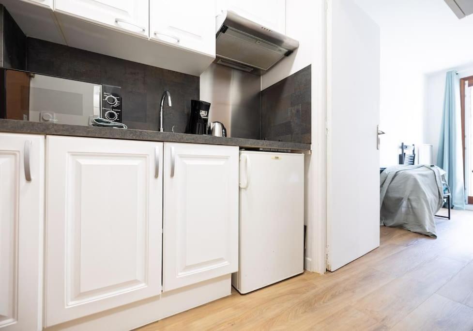 Appartement L'amarante, T1 Avec Terrasse, Beaux Arts *