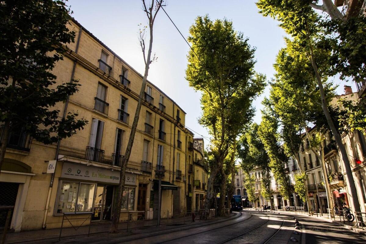 L'amoureux - Terrasse Et Climatisation Coeur De Montpellier