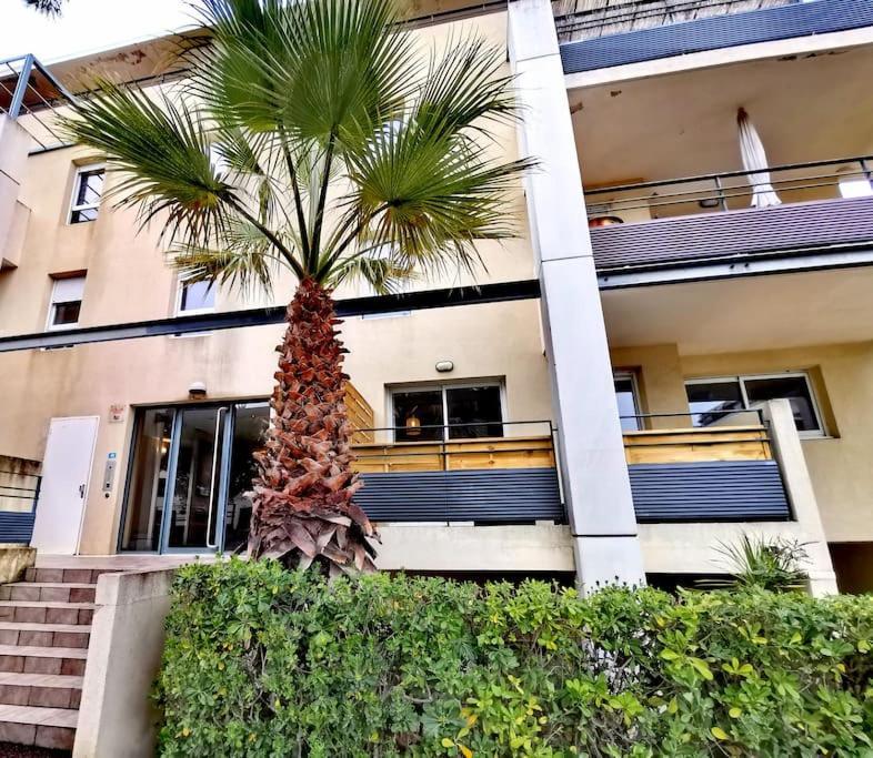 Le Cosy Montpellierain T3 Avec Parking *