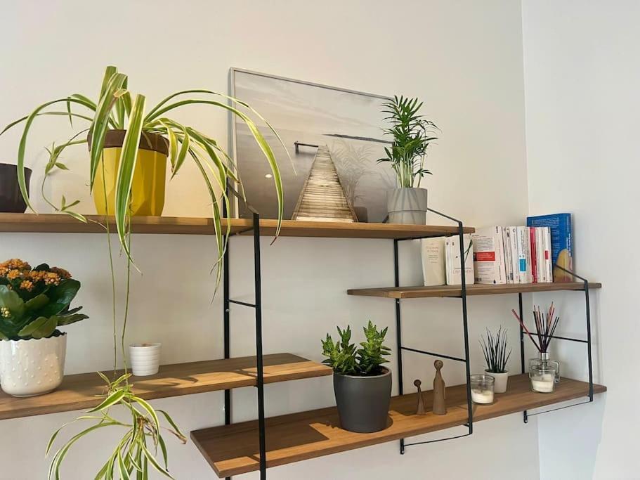 Le Laurier-rose Appartement *