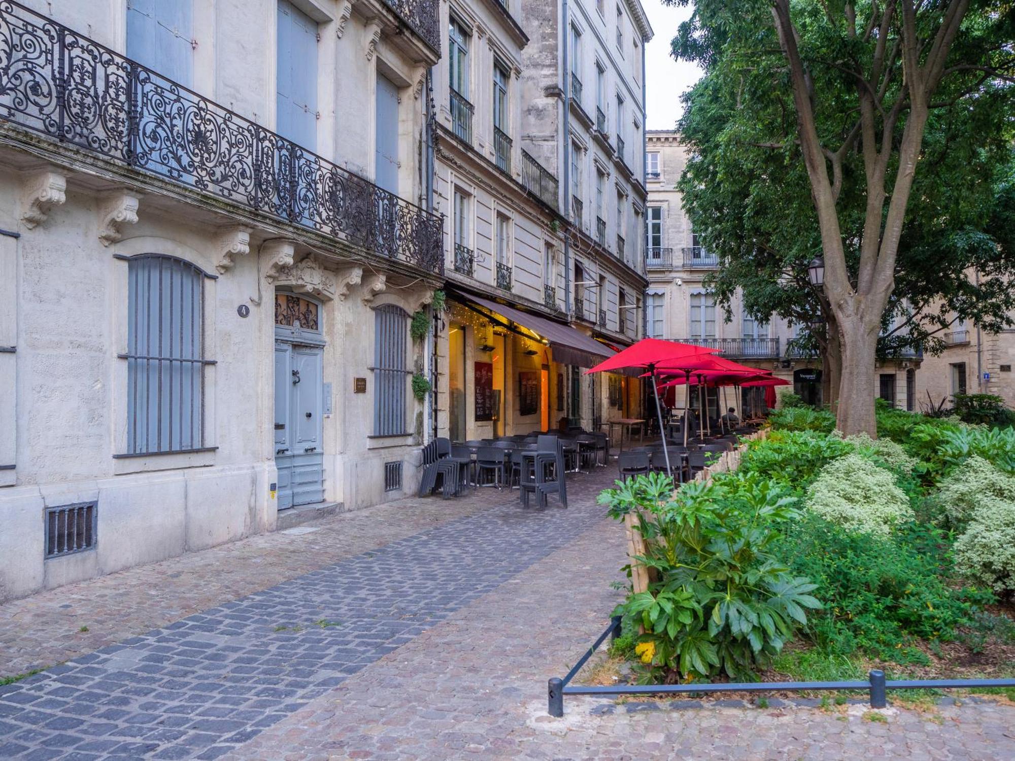 Le Platane De La Canourgue Montpellier