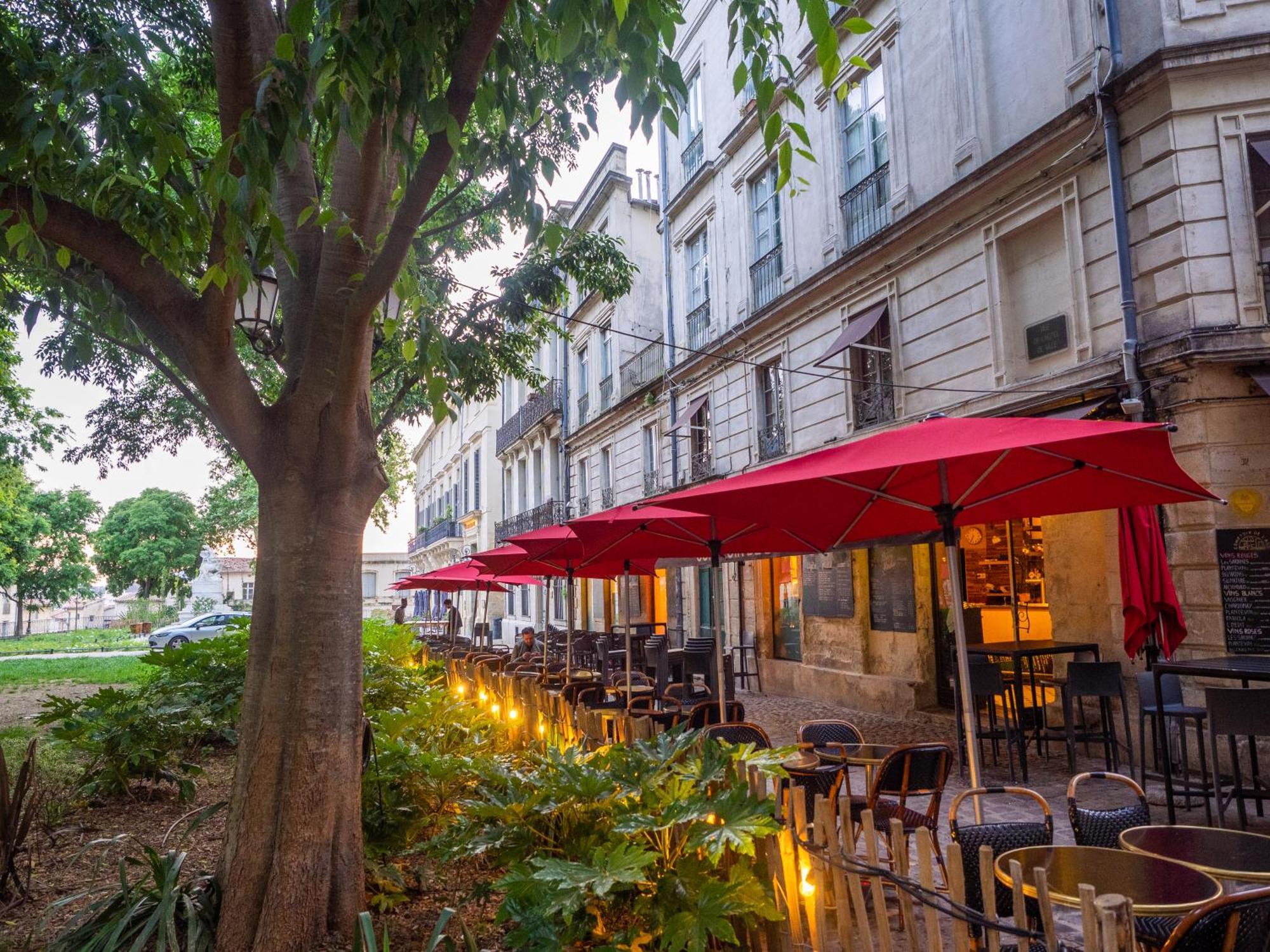 Apartment Le Platane De La Canourgue Montpellier