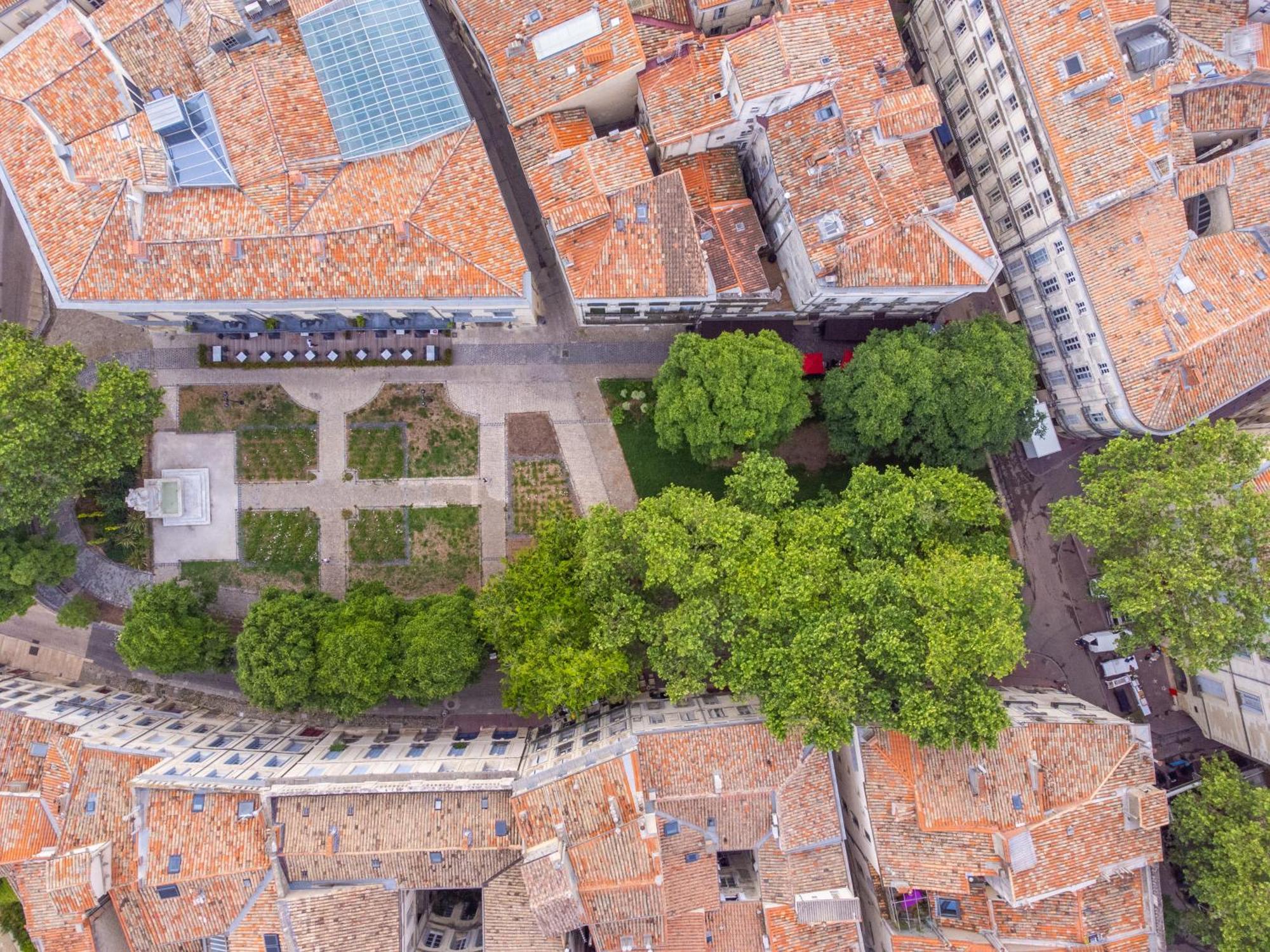 Apartment Le Platane De La Canourgue Montpellier