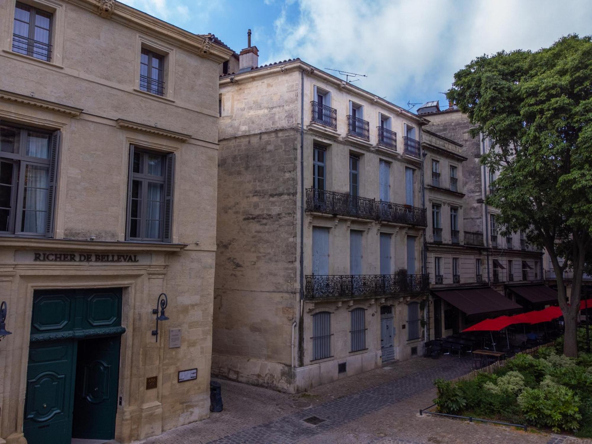 Le Platane De La Canourgue *