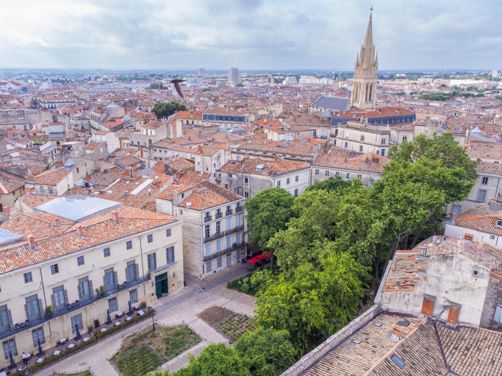 Le Platane De La Canourgue Apartment Montpellier