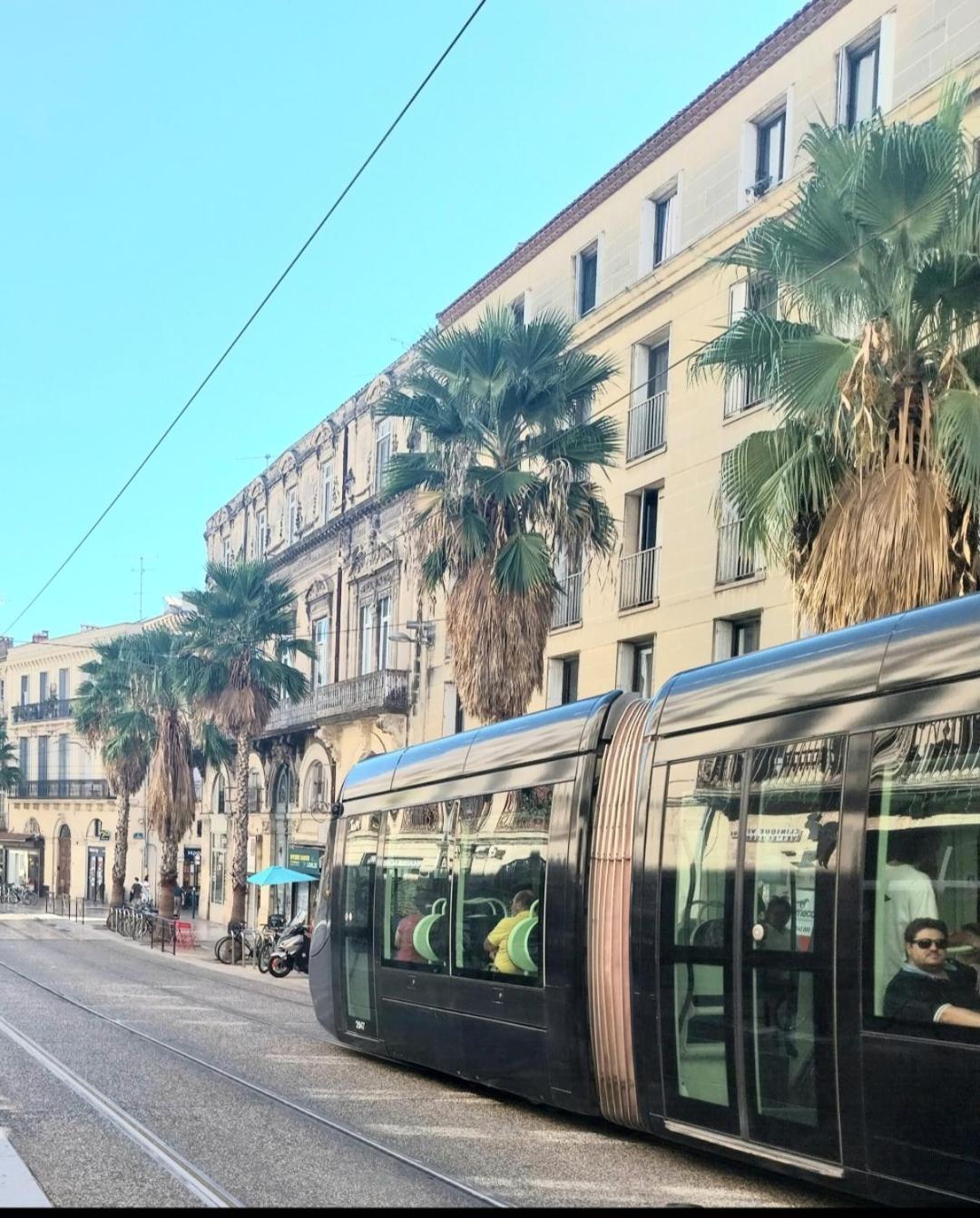 Artists Montpellier-place De La Comedie Appartement