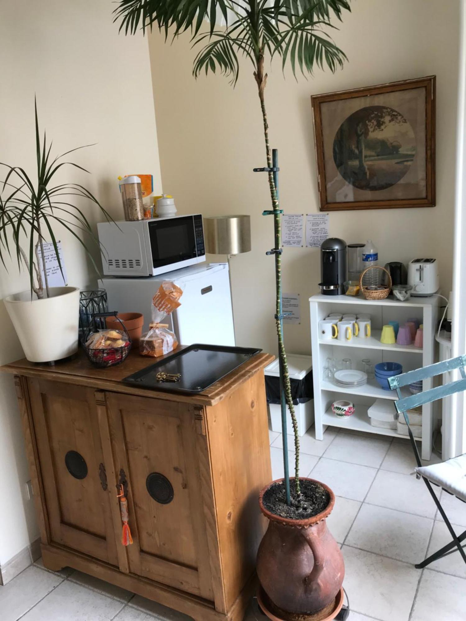 Bed and breakfast Japonaise Montpellier