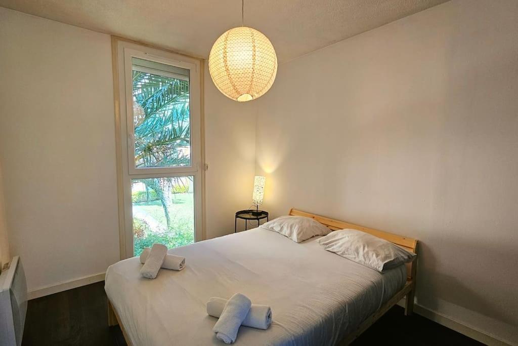 Apartment Ovalie ! Grand Appart. 6 Couchages Avec Parking Montpellier
