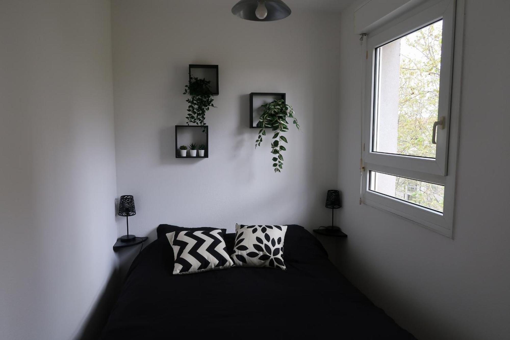 Avec Vue Sur Le Lez Apartment *