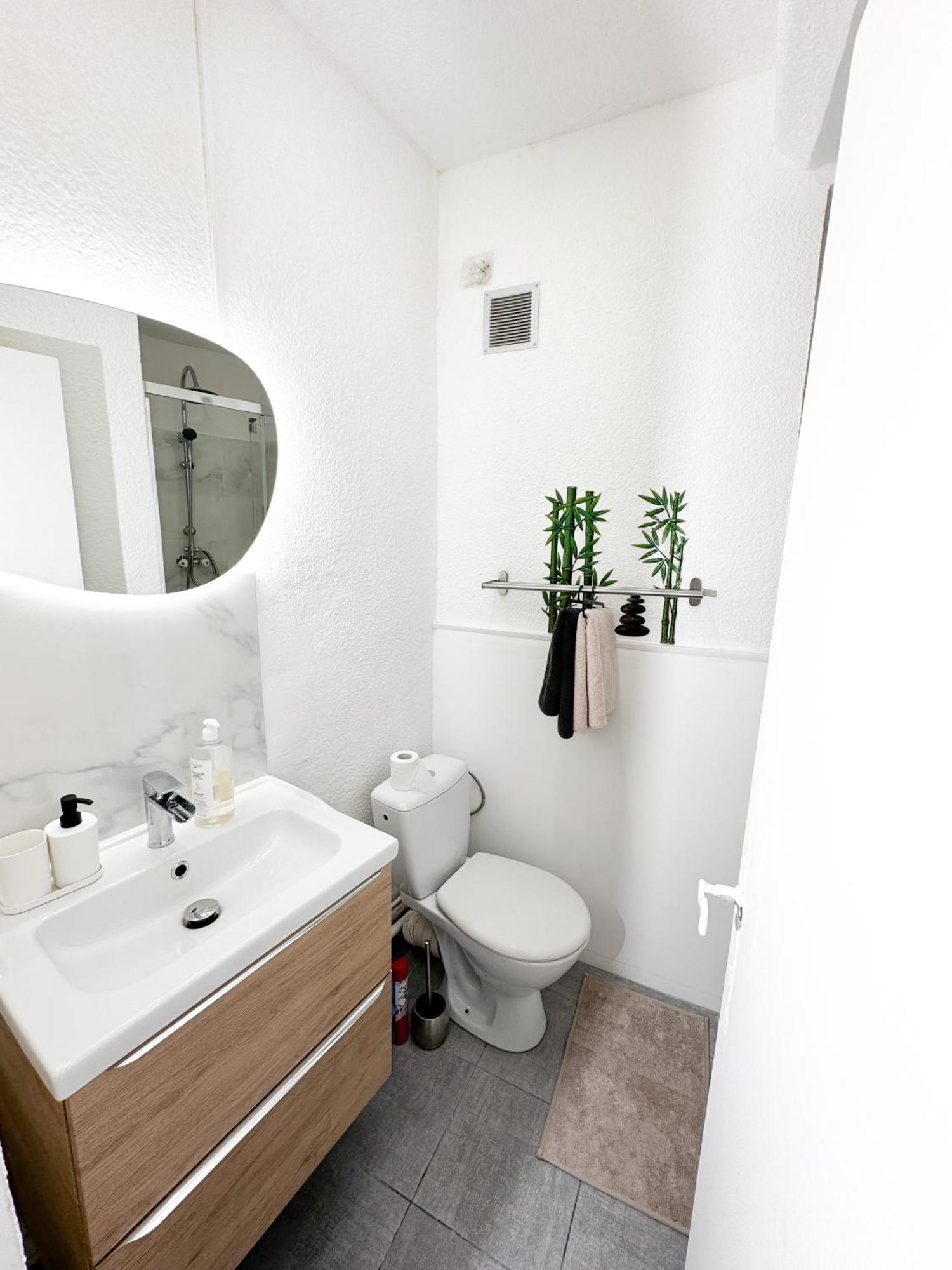 Appartement St Ursule R1 Montpellier