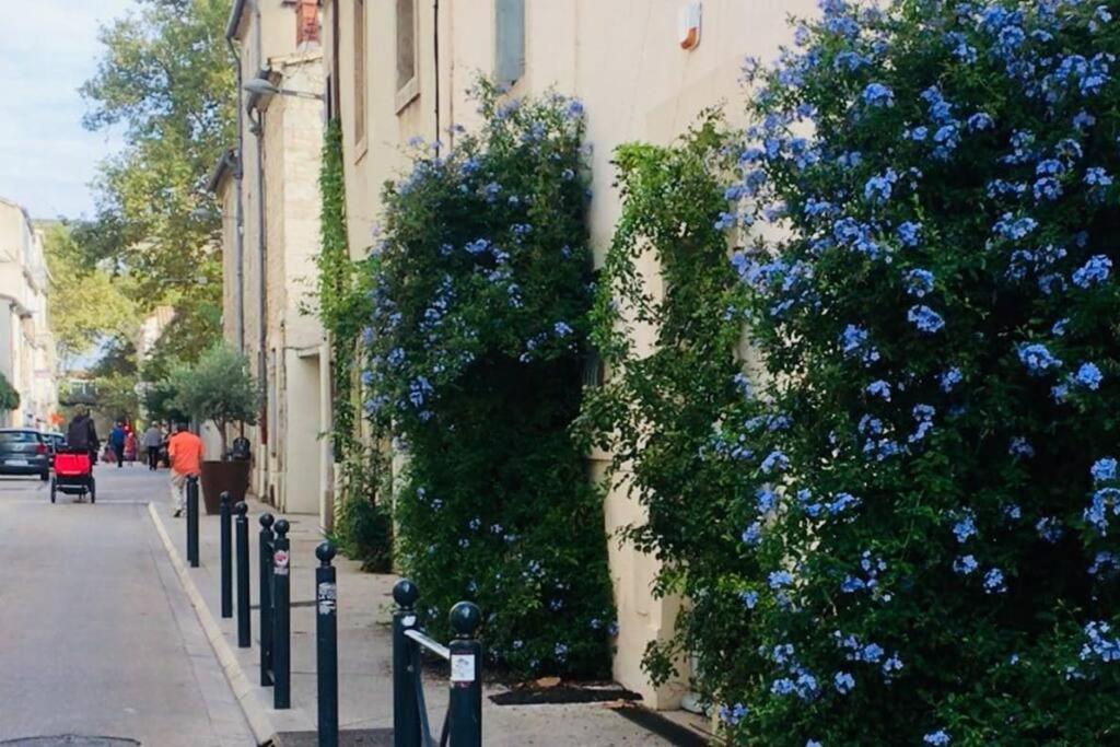 035- Faubourg Mediterranee, Gare, 1 Appartement Montpellier