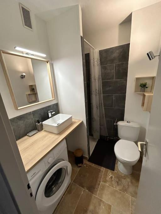 Apartment Studio Occitanie-hopitaux-facultes & Parking Gratuit