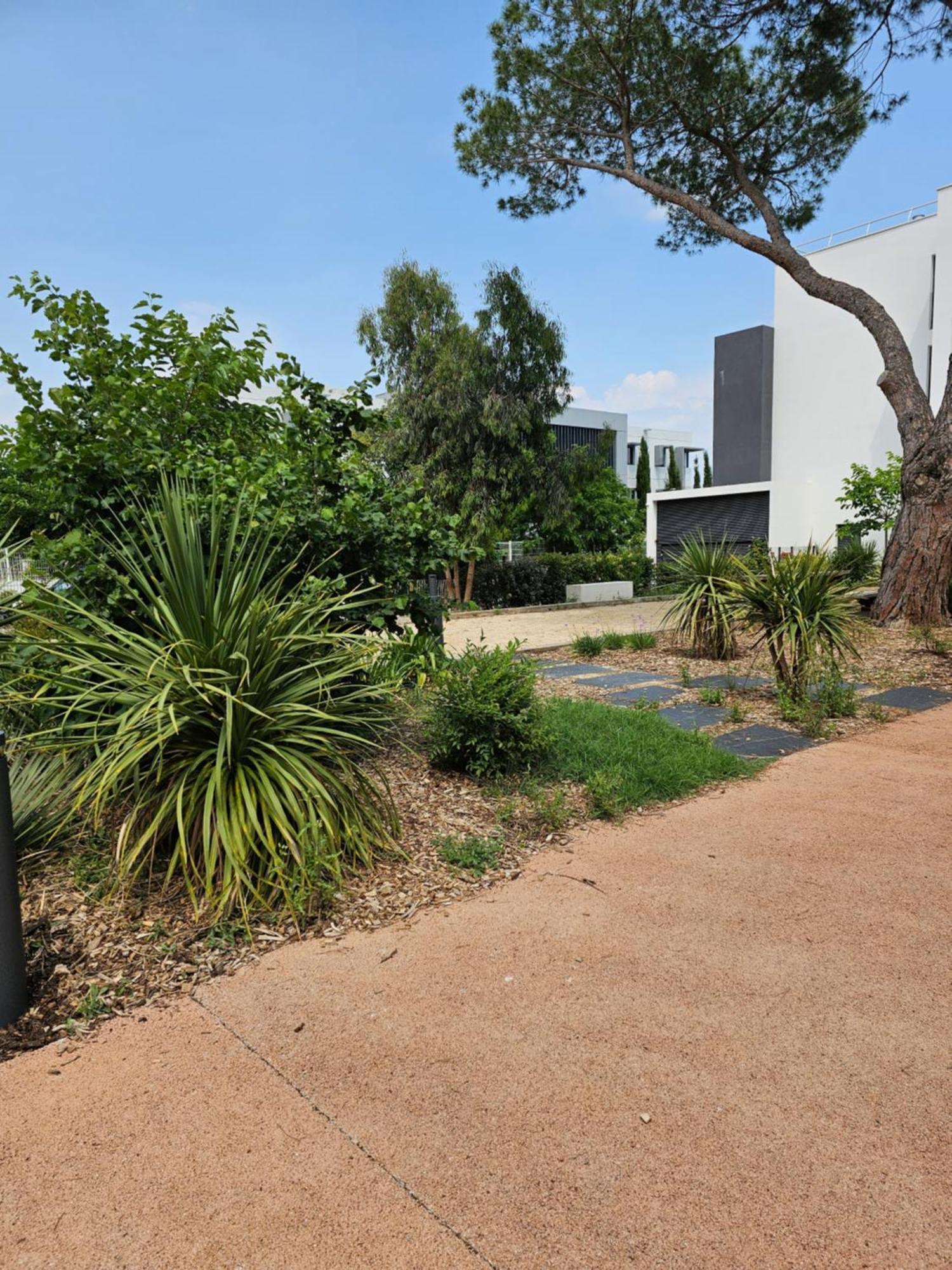Cosy T2 Entre Terre Et Mer Appartement Montpellier