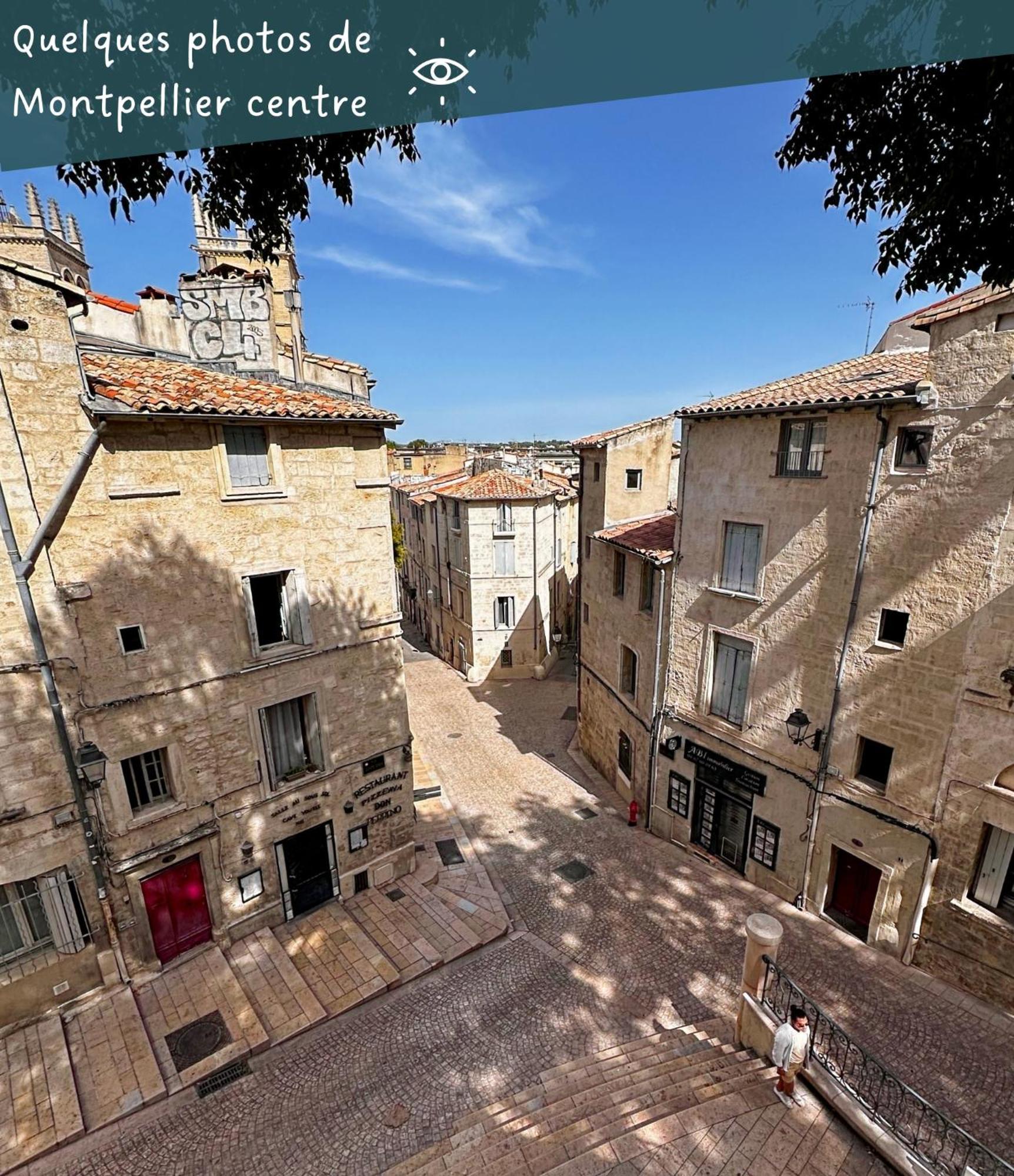 Entier Cosy Avec Balcon - Centre Appartement Montpellier