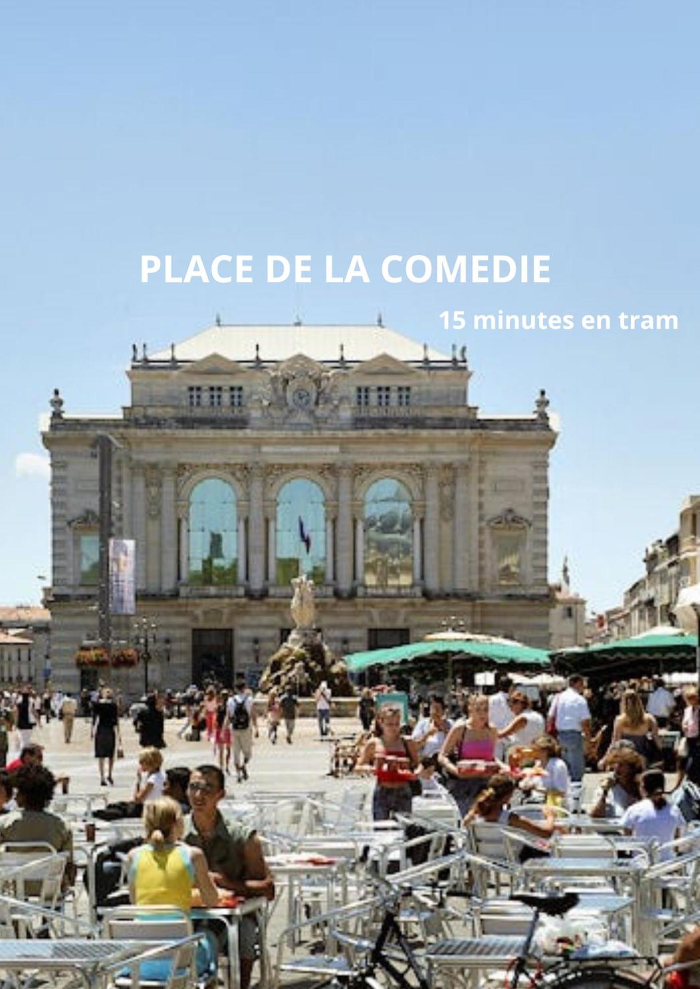 Adorable Studio - Netflix - Parking - Tramway - Proche Hopitaux *