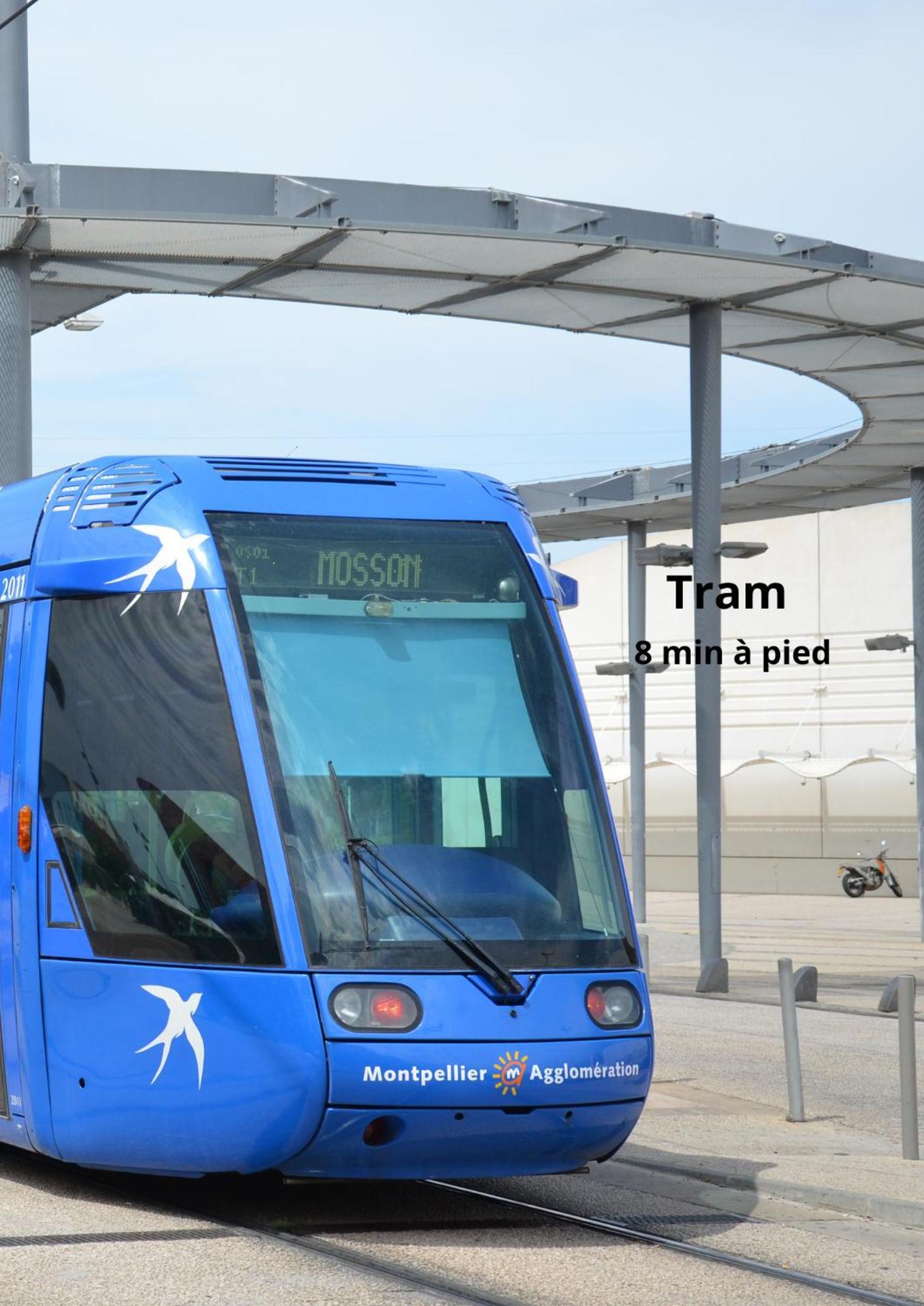 Adorable Studio - Netflix - Parking - Tramway - Proche Hopitaux * Montpellier