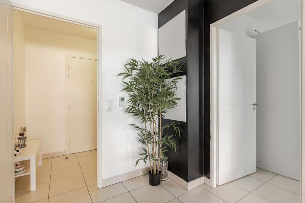 Cosy Et Chic Appartement