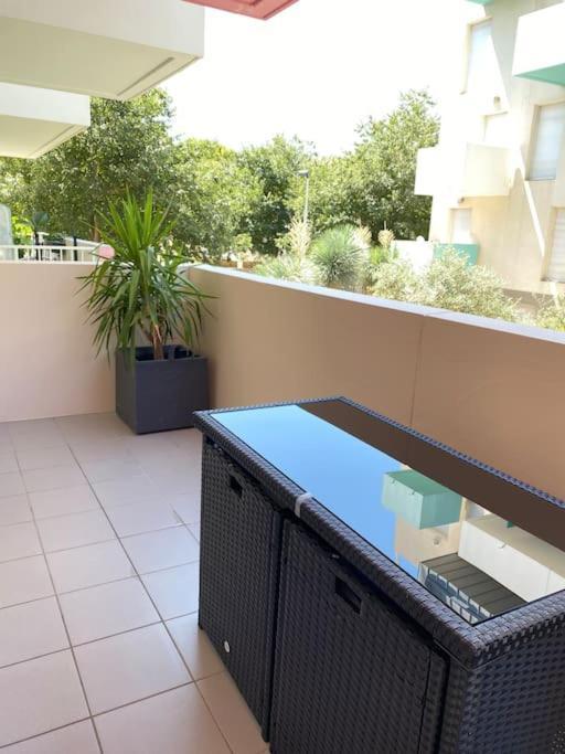 Appartement Cosy Et Chic *