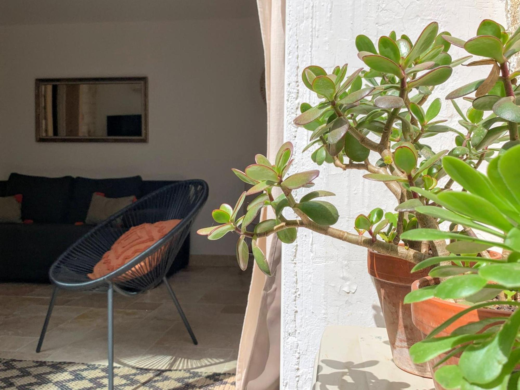 Chic - La Terrasse Bazille Appartement Montpellier